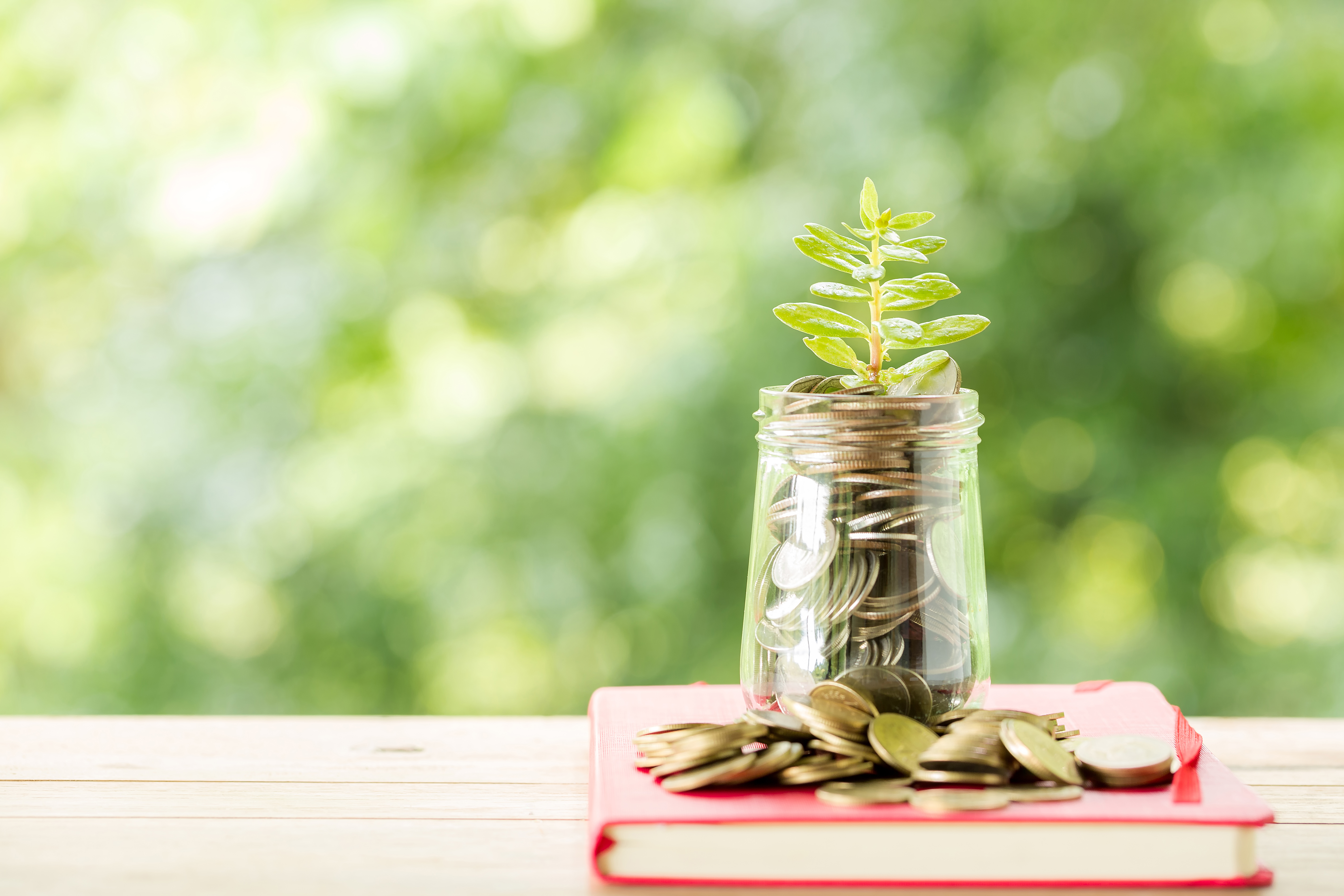 Musharaka Islamic Investment Partnership
